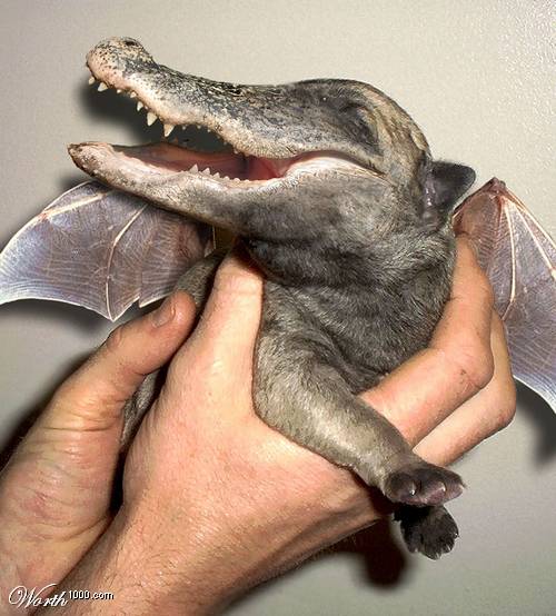 Super-Bat Gator-Puppy